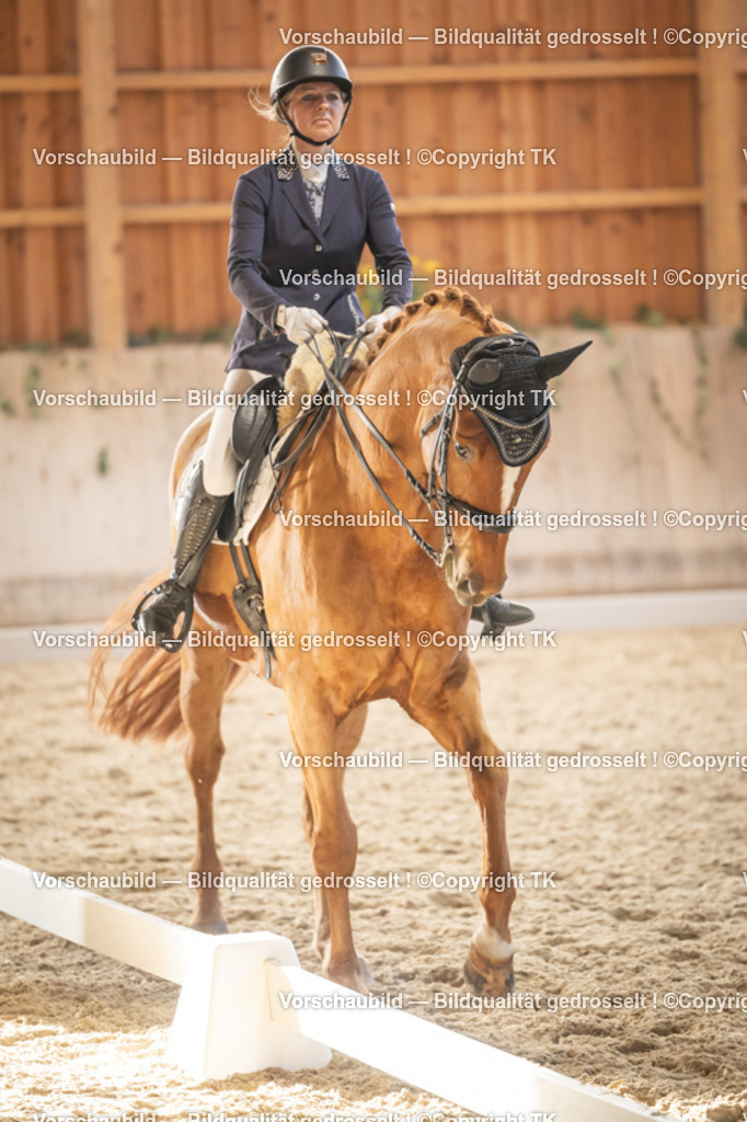 _D5A3275 | Emotionale Pferde- & People-Fotografie rund um Heidelberg, Leimen & Umgebung. Natürliche Fotos von Pferd, Mensch & Familie. Jetzt Termin sichern!