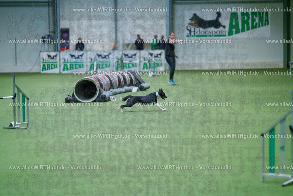 @allesWIRTHgut_Tierfotografie - www.allesWIRTHgut.de - 2604250951-7R509138 | Professionelle Tierfotografie in Mönchengladbach von Daniel Wirth (allesWIRTHgut). Liebevolle & natürliche Bilder von Hunden & Katzen für unvergessliche Erinnerungen.