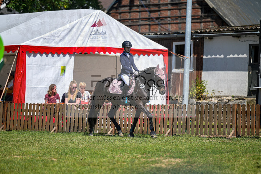 Reitturnier Voxtrup | Entdecke hochwertige Reitturnierfotos von Foto Oger. Professionell, emotional und authentisch – jetzt Lieblingsmomente im Shop bestellen.Deutschlandweite Turnierfotografie. - Realisiert mit Pictrs.com