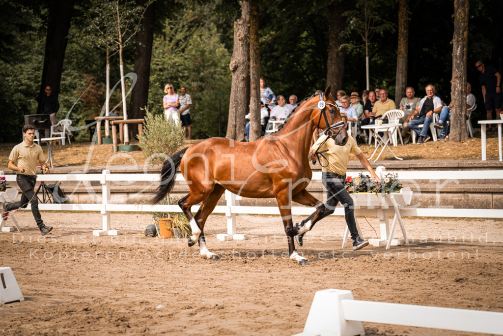 6.Fr00106 | Leoni Ertmer Photography - Realisiert mit Pictrs.com