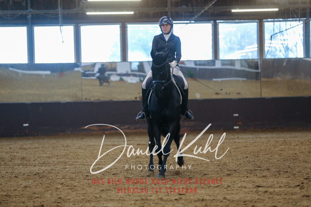 IMG_7208 | Turniersportfotografie; Pferdefotografie; Dressurfotografie