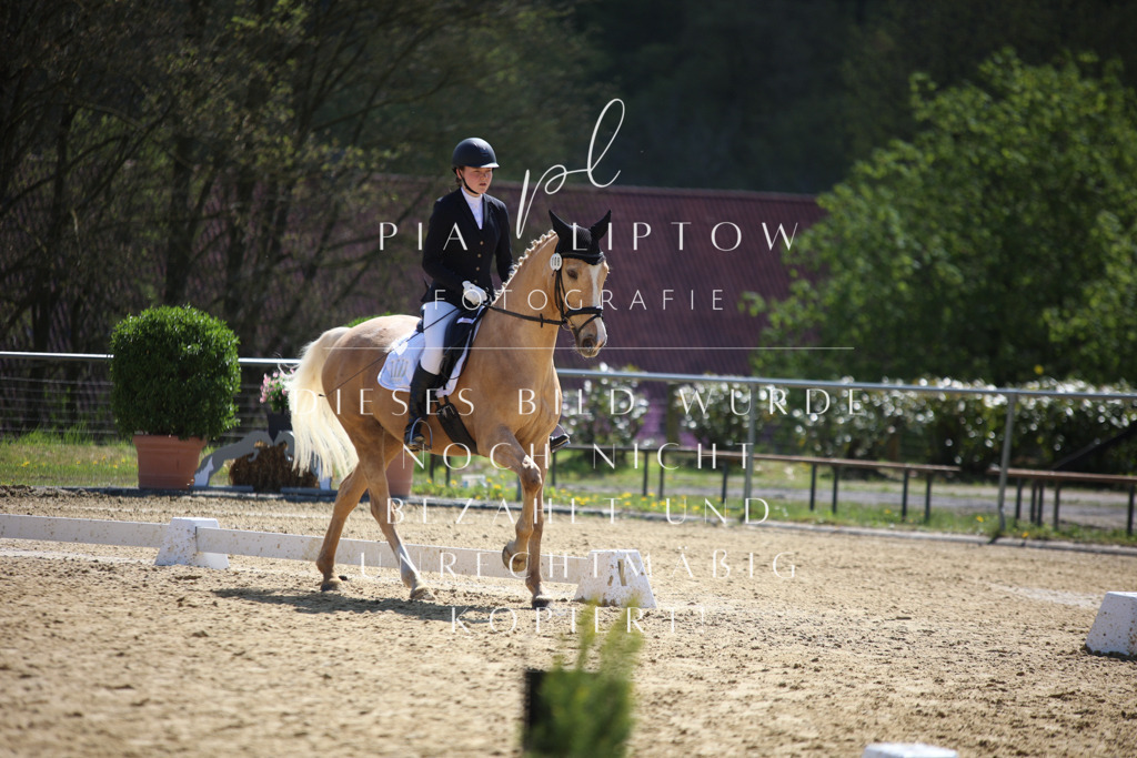 IMGT7197 | pl-fotografie