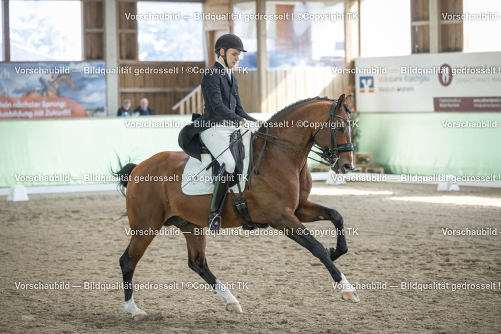 _D5A9758 | Emotionale Pferde- & People-Fotografie rund um Heidelberg, Leimen & Umgebung. Natürliche Fotos von Pferd, Mensch & Familie. Jetzt Termin sichern!