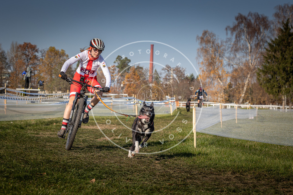 CaniXpix_0L8A8166 | Hundefotografie, Tierfotograf, Pfotenfotografie, Fotoshooting Hund, Hunde Portrait, Hundesport, Hundeportraits, Heideshooting, Hunde, Sportfotograf, Hundefotograf, Turnierhundsport, THS,  - Realisiert mit Pictrs.com