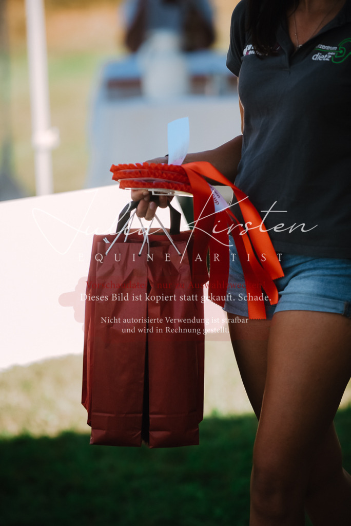 DSC_2974 | Pferde- und Turnierfotografie in Westsachsen. Pferdeportraits, Auftragszeichnungen und intuitive Kunst.