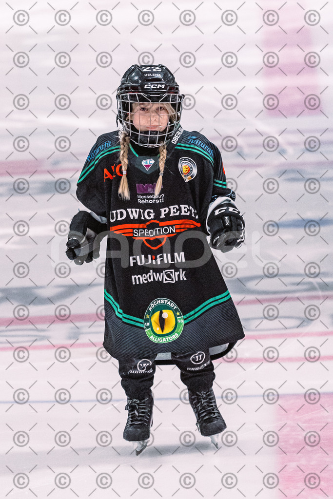 Alligators_vs_Selb_27_02_2026-4 | Höchstadt Alligators Fotogalerie: Eishockey-Action aus Franken. Professionelle Spielfotos, Portraits & Stadionbilder zum Download. Jetzt entdecken! - Realisiert mit Pictrs.com