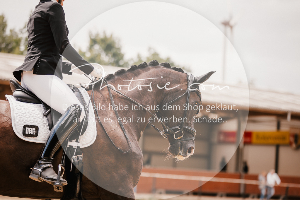 3I6A6296 | Stimmungsvolle Portraits und Reitsportfotografie im Ruhrgebiet und im Münsterland.

Pferdefotografie, Hundefotografie, Tierfotografie, Reportagen, Portraits von Tier und Mensch, Turnierfotografie in Bochum, Recklinghausen, Marl, Haltern am See, Dülmen.. - Realisiert mit Pictrs.com
