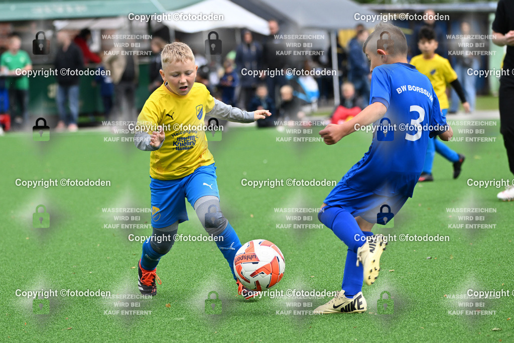 DSC_7771 | SV Wittmund l (gelb) / BW Borssum Emden (blau)