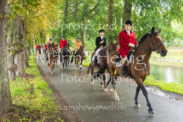 Jagd Kletkamp 26-9562_MarinaHewig | Fotografie, FotoArt, PferdesportArt, Pferdesportfotografie, Landschaftsfotografie, Reisefotografie, Reise, Pferde - Realisiert mit Pictrs.com