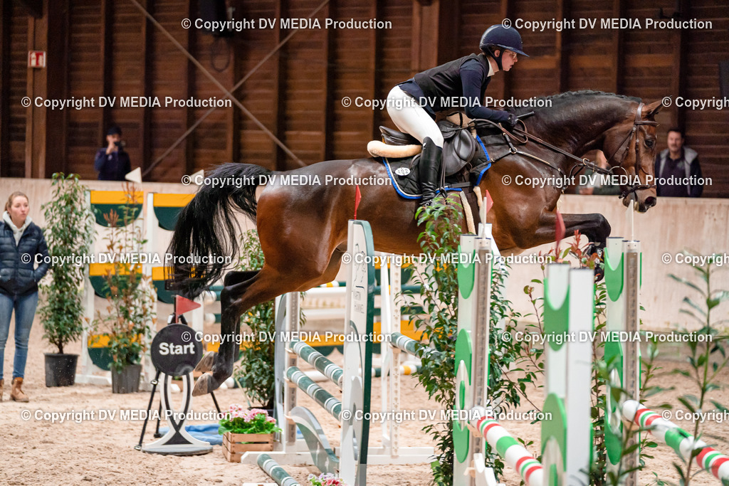 Springen Tag 1-12 | dv-media-shop - Realisiert mit Pictrs.com