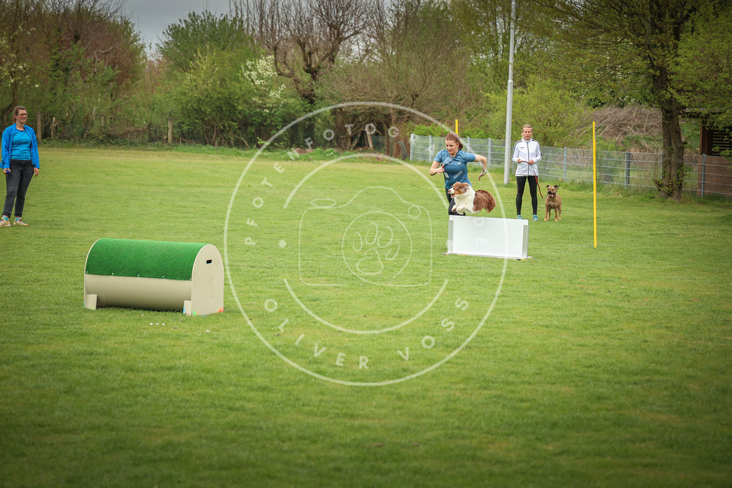 Pfotenfotografie_0L8A9727 | Hundefotografie, Tierfotograf, Pfotenfotografie, Fotoshooting Hund, Hunde Portrait, Hundesport, Hundeportraits, Heideshooting, Hunde, Sportfotograf, Hundefotograf, Turnierhundsport, THS,  - Realisiert mit Pictrs.com