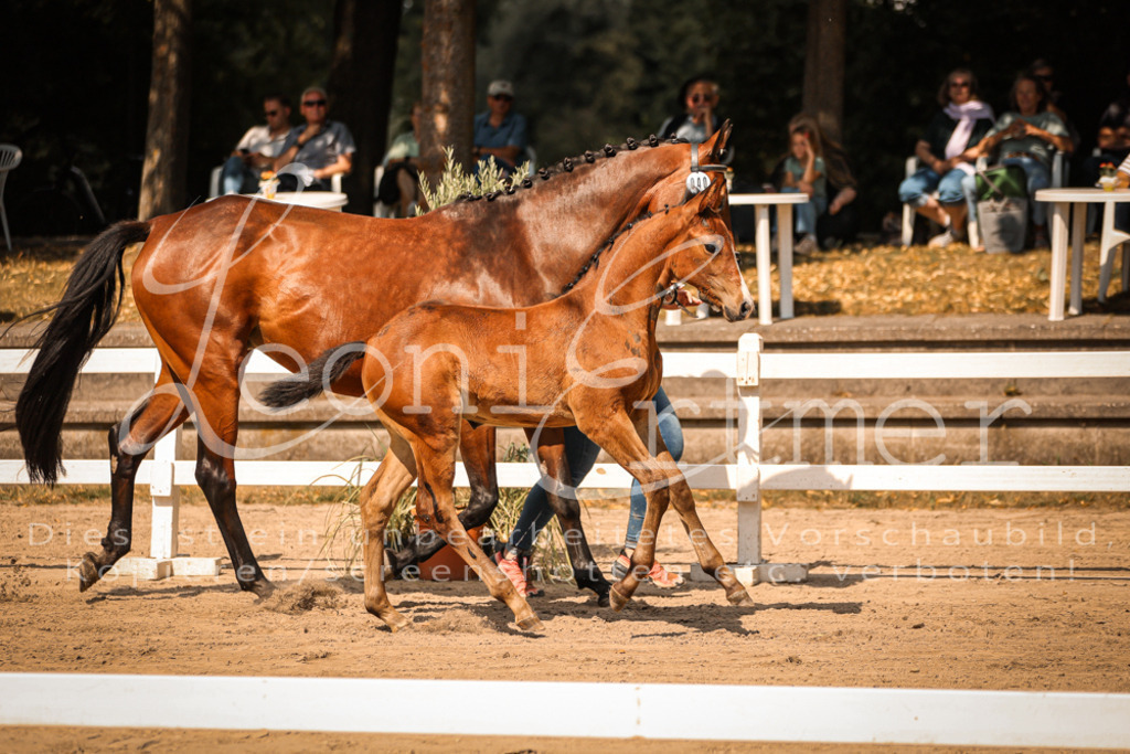 07.DoWBS00110 | Leoni Ertmer Photography - Realisiert mit Pictrs.com