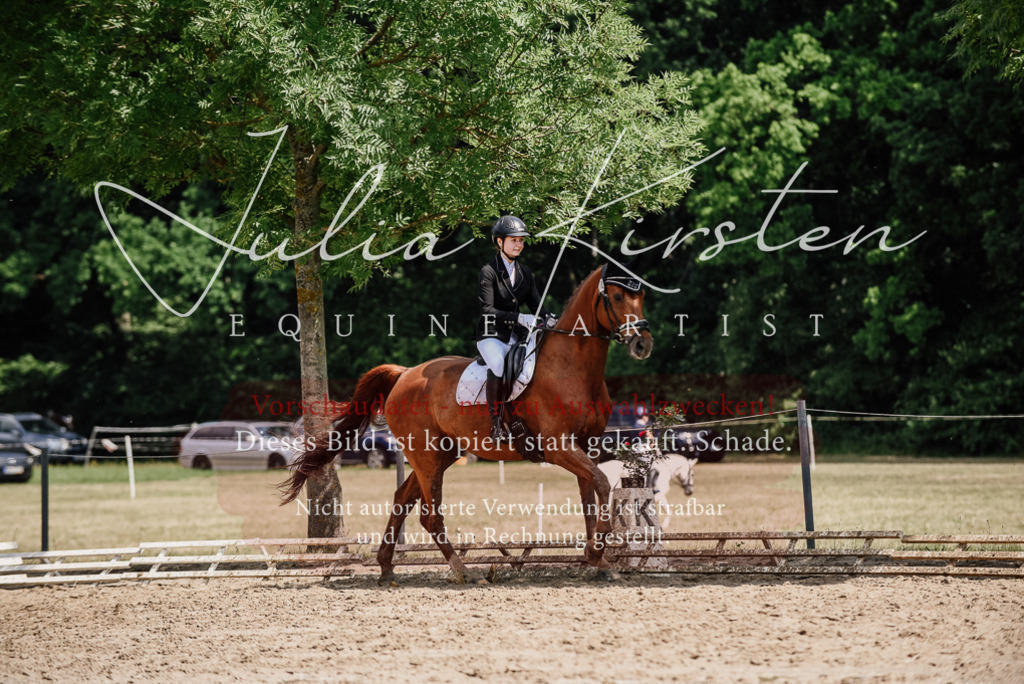 DSC_1410 | Pferde- und Turnierfotografie in Westsachsen. Pferdeportraits, Auftragszeichnungen und intuitive Kunst.