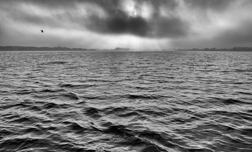 fischer-2019-496 | Matthias Nanz aus Schleswig ist einer der letzten Berufsfischer an der Schlei. Mit seinem Boot fährt Matthias Nanz vom Liegeplatz in Missunde zu den Fanggründen in der Schlei. Das Bild entstand vom Bug des Fischerbootes morgens Mitte November auf der Großen Breite der Schlei. - Realisiert mit Pictrs.com