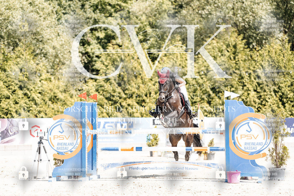 CK900634 | Turnierfotografie Pferdefotografie Trier Rheinland-Pfalz Pferdesport Reitsport Tierfotografie Sportfotografie Pferdevideo Pferdevideografie Equestrianvideography equestrianphotography  - Realisiert mit Pictrs.com