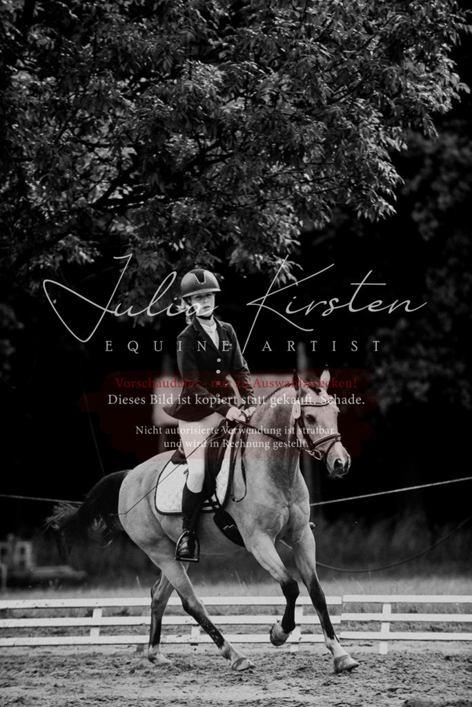 DSC_0077 | Pferde- und Turnierfotografie in Westsachsen. Pferdeportraits, Auftragszeichnungen und intuitive Kunst.