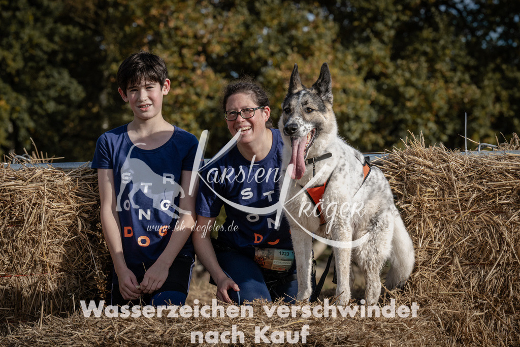 1158_ZZ93344 | kk-dogfotos