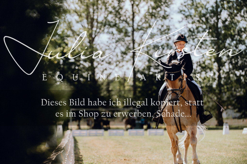 DSC_7150 | Pferde- und Turnierfotografie in Westsachsen. Pferdeportraits, Auftragszeichnungen und intuitive Kunst.