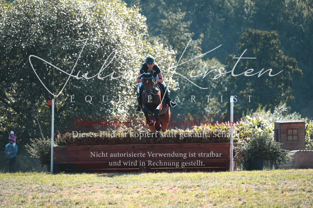 DSC_7879 | Pferde- und Turnierfotografie in Westsachsen. Pferdeportraits, Auftragszeichnungen und intuitive Kunst.