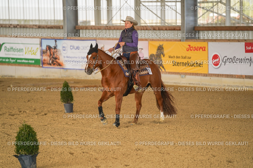 DSC01205 | Pferdegrafie