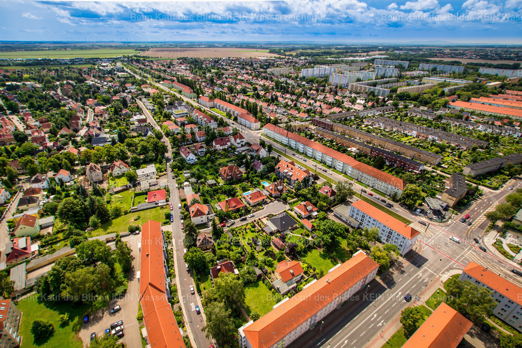 Magdeburg Reform Schilfbreite Leipziger-1960 | Magdeburg Reform Leipziger Straße - Realisiert mit Pictrs.com