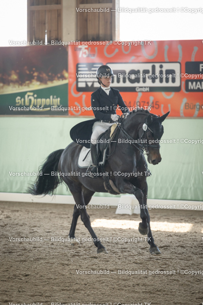 _D5A1061 | Emotionale Pferde- & People-Fotografie rund um Heidelberg, Leimen & Umgebung. Natürliche Fotos von Pferd, Mensch & Familie. Jetzt Termin sichern!