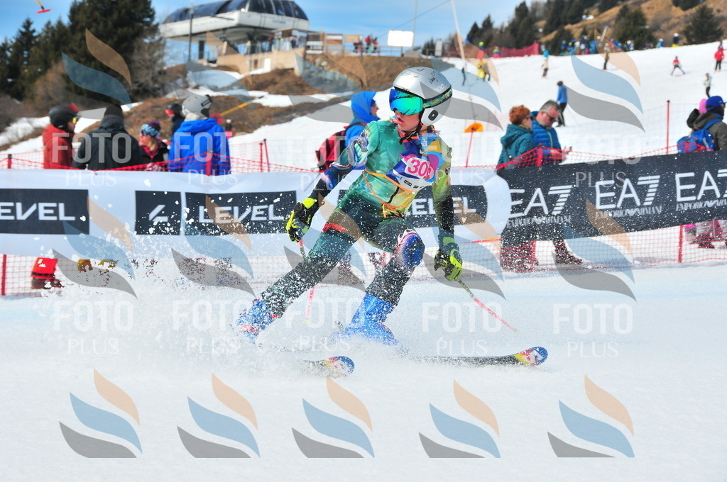 DSC_6592 | holidayphoto