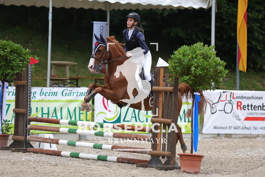 0P6A0124 | Willkommen bei Brunnmayr - Design & Fotografie – Ihrem Spezialisten für Reitturniere und Pferdeveranstaltungen in Oberösterreich, Salzburg und Bayern! Seit über 17 Jahren sind wir leidenschaftlich dabei.