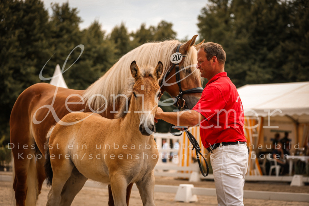 SaSF00043 | Leoni Ertmer Photography - Realisiert mit Pictrs.com