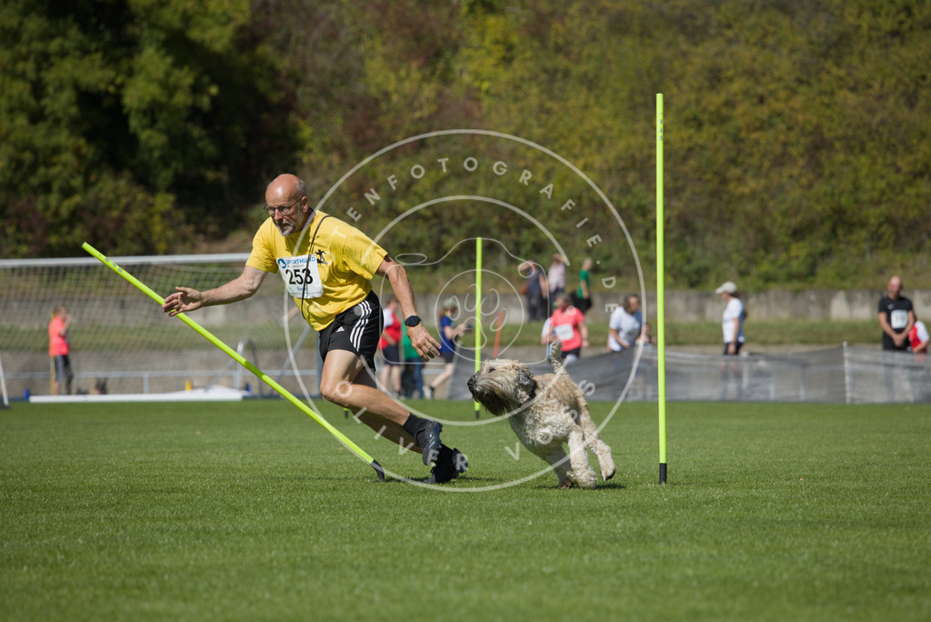 0L8A6332 | Hundefotografie, Tierfotograf, Pfotenfotografie, Fotoshooting Hund, Hunde Portrait, Hundesport, Hundeportraits, Heideshooting, Hunde, Sportfotograf, Hundefotograf, Turnierhundsport, THS,  - Realisiert mit Pictrs.com