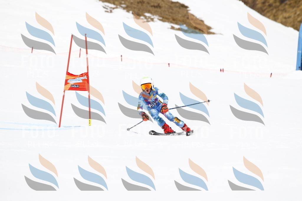 _U3G6802 | holidayphoto