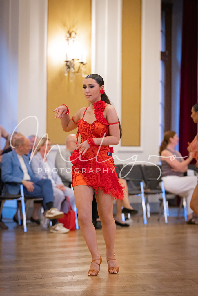 MainzPalaceOpen-1878 | milagro-photography