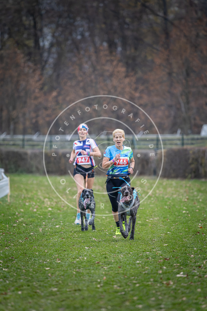 CaniXpix_DV3A7273 | Hundefotografie, Tierfotograf, Pfotenfotografie, Fotoshooting Hund, Hunde Portrait, Hundesport, Hundeportraits, Heideshooting, Hunde, Sportfotograf, Hundefotograf, Turnierhundsport, THS,  - Realisiert mit Pictrs.com