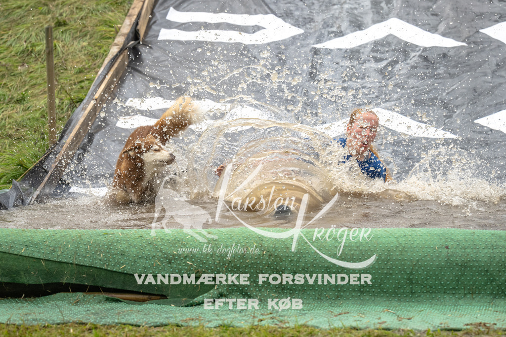 1557_ZZ91593 | kk-dogfotos