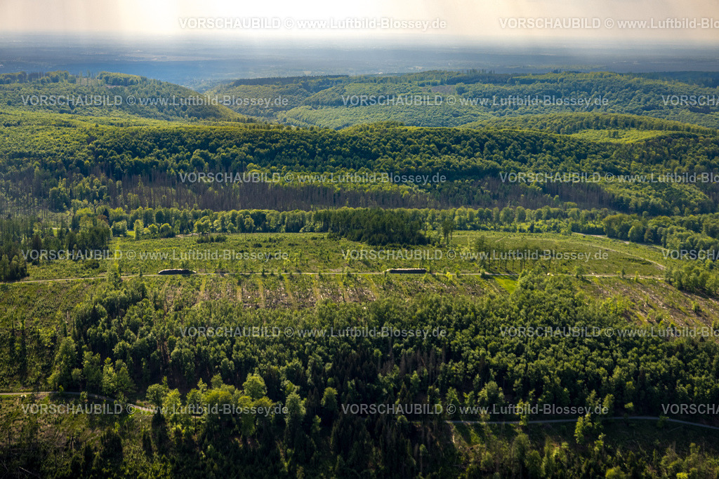 Horn-BadMeinberg240505864LippischerVelmerstot_TeutoburgerWald | Luftbild, Hügel und Täler Waldgebiet mit Waldschäden, Fernsicht mit Himmel und Wolken, Teutoburger Wald, Leopoldstal, Horn-Bad Meinberg, Ostwestfalen, Nordrhein-Westfalen, Deutschland