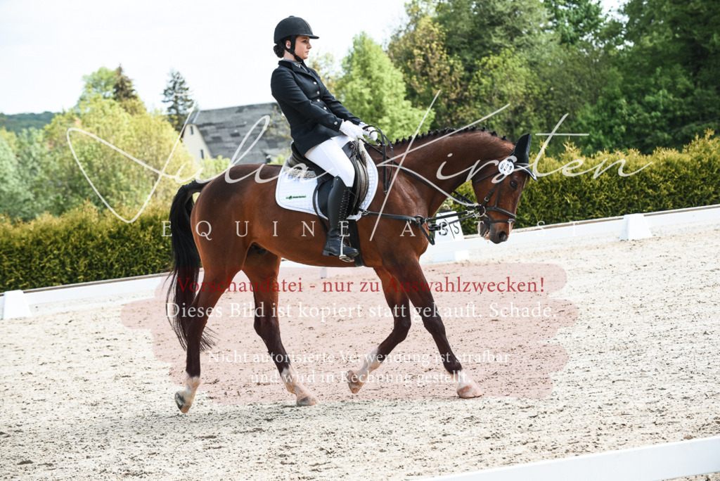 20230518_JK-Röhrsdorf-11-0434 | Pferde- und Turnierfotografie in Westsachsen. Pferdeportraits, Auftragszeichnungen und intuitive Kunst.