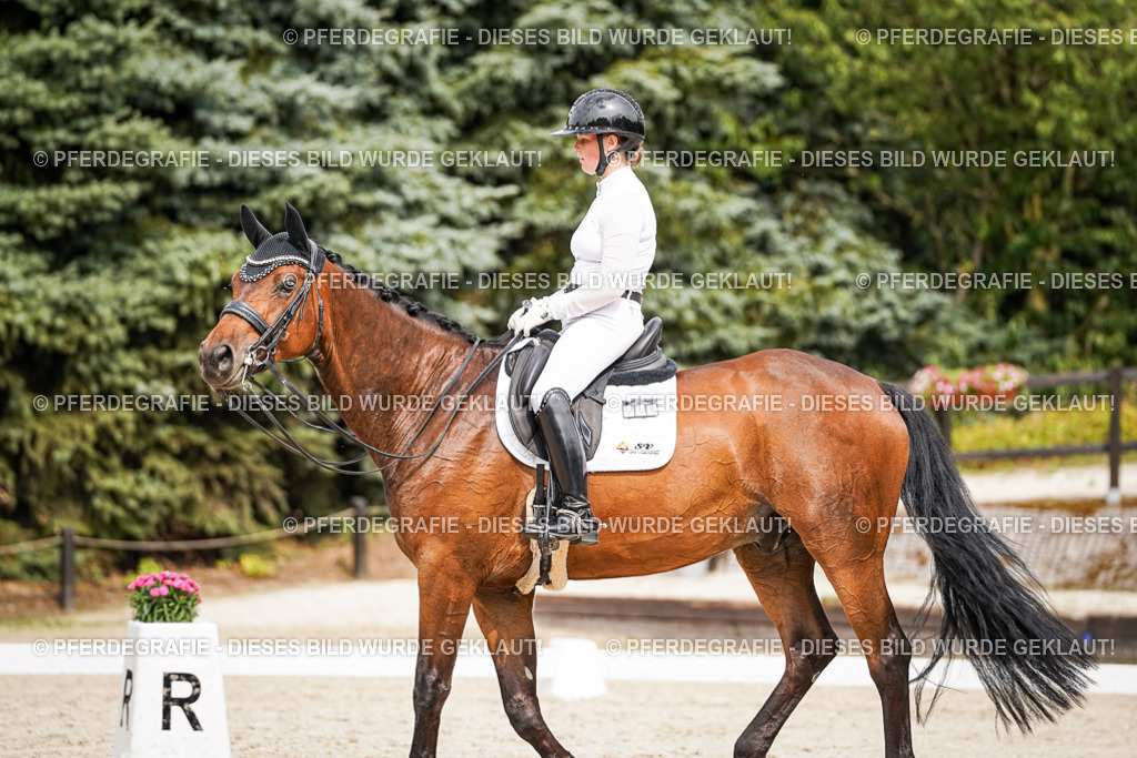 DSC06806 | Pferdegrafie