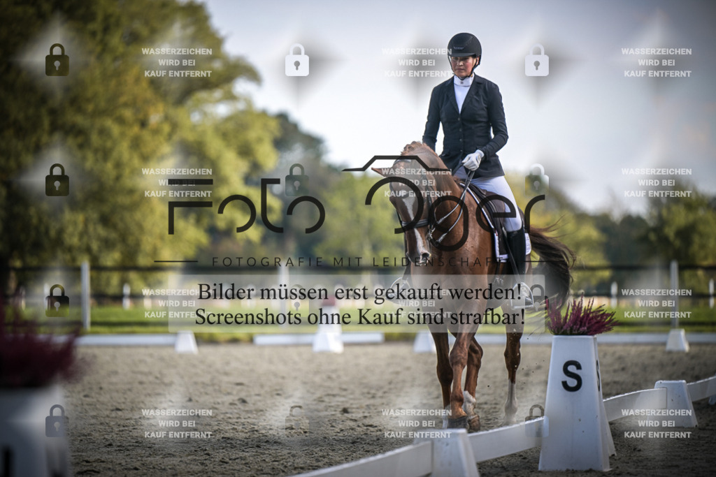 DOS_3633 | Entdecke hochwertige Reitturnierfotos von Foto Oger. Professionell, emotional und authentisch – jetzt Lieblingsmomente im Shop bestellen.Deutschlandweite Turnierfotografie. - Realisiert mit Pictrs.com
