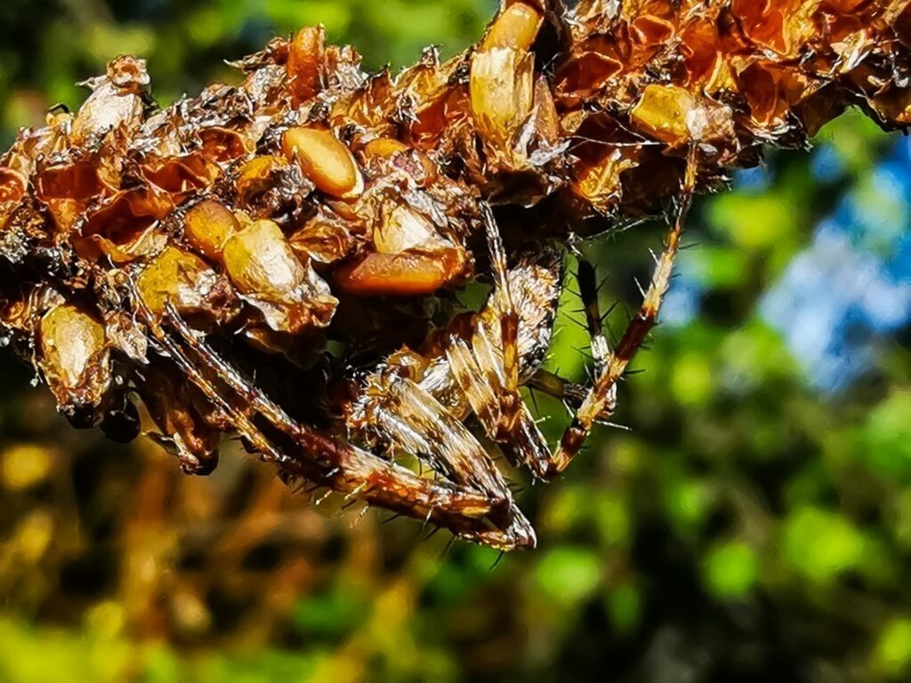 PSX_20220924_075940 | mtkfoto_ - Realisiert mit Pictrs.com