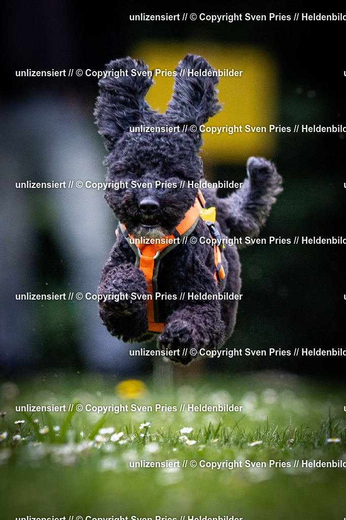 Sven Pries | 2025-05-29 - Pudelrennen KA-Durlach - Realisiert mit Pictrs.com