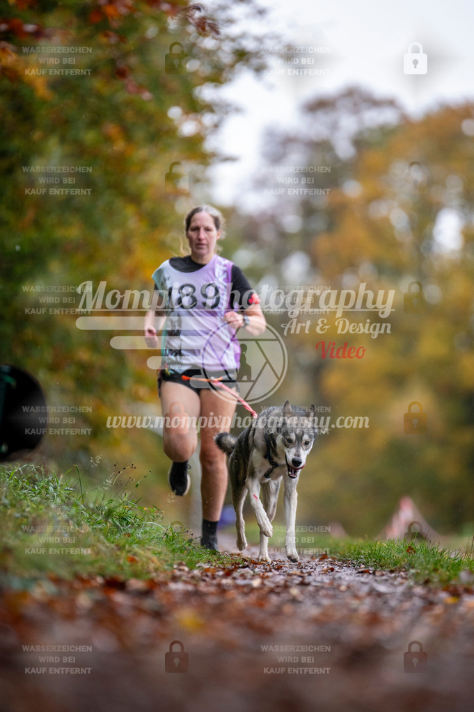 DBT_DAKM_SA_4_11_2023_Canicross-115 | PayLife