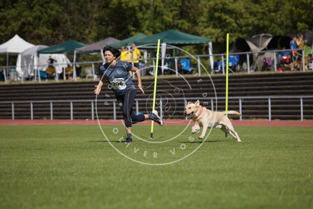 0L8A7097 | Hundefotografie, Tierfotograf, Pfotenfotografie, Fotoshooting Hund, Hunde Portrait, Hundesport, Hundeportraits, Heideshooting, Hunde, Sportfotograf, Hundefotograf, Turnierhundsport, THS,  - Realisiert mit Pictrs.com