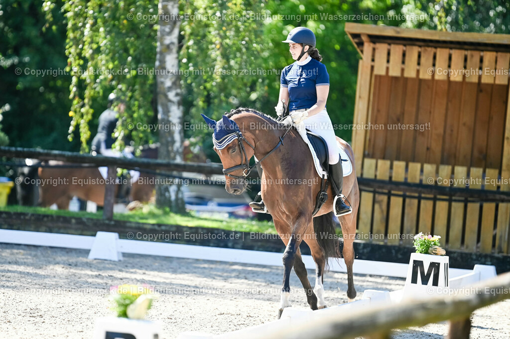 20230908_06_Dressur-L-Trense_0225 | equistock