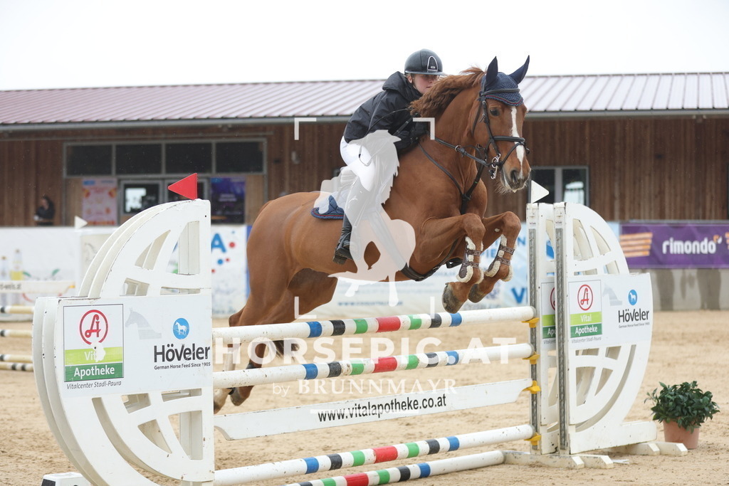 0P6A1291 | Willkommen bei Brunnmayr - Design & Fotografie – Ihrem Spezialisten für Reitturniere und Pferdeveranstaltungen in Oberösterreich, Salzburg und Bayern! Seit über 17 Jahren sind wir leidenschaftlich dabei.