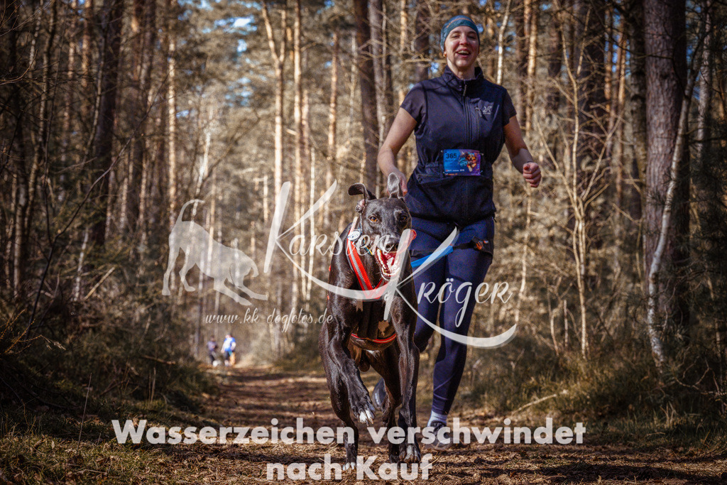 1225_ZZ93464-Bearbeitet | kk-dogfotos