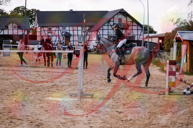 2026_10_03_Siefer-Hof_145130_Z81_30485125 | Professionelle Reitsport-, Turnier- und Eventfotografie von Robert Broda. Galerien mit ausgewählten und bearbeiteten Bildern direkt online ansehen und bestellen.