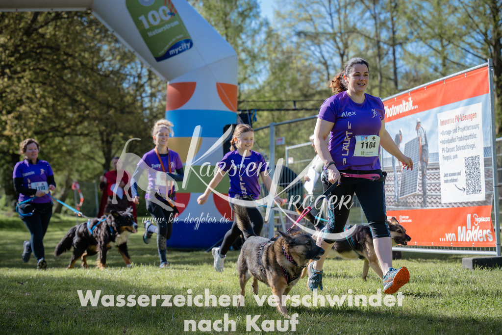 0959_ZZ94244 | kk-dogfotos