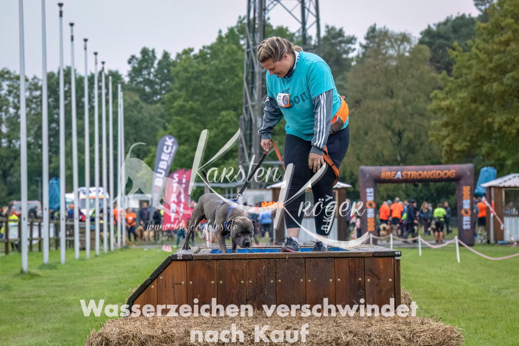 1203--3 | kk-dogfotos