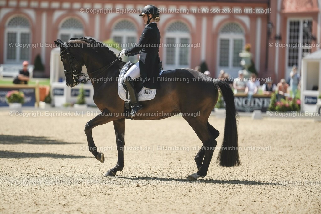 20230529_29_Louisdor_0125 | equistock