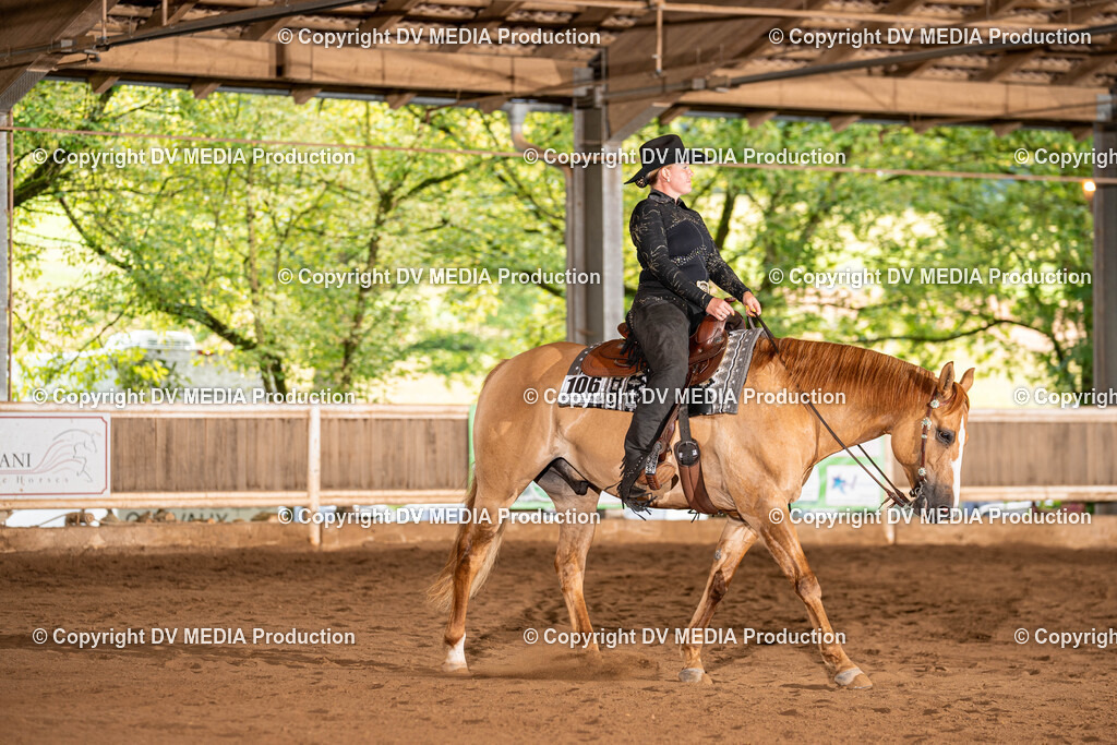 Erbach Tag 1-127 | dv-media-shop - Realisiert mit Pictrs.com